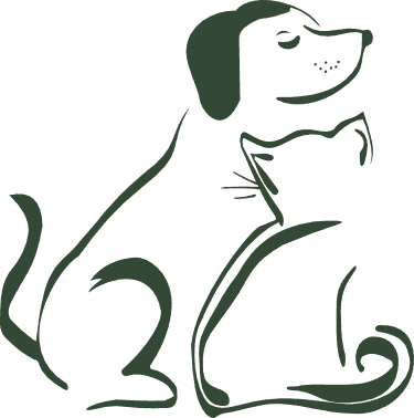 Logo Dra. Nannashara Sad